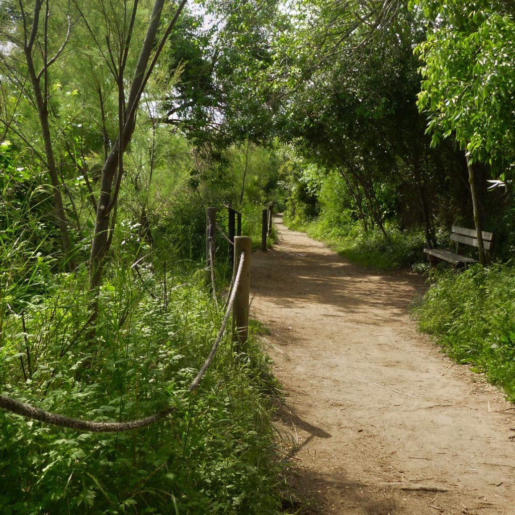 2cb601c93d3100654f186bb30a86331794711e23