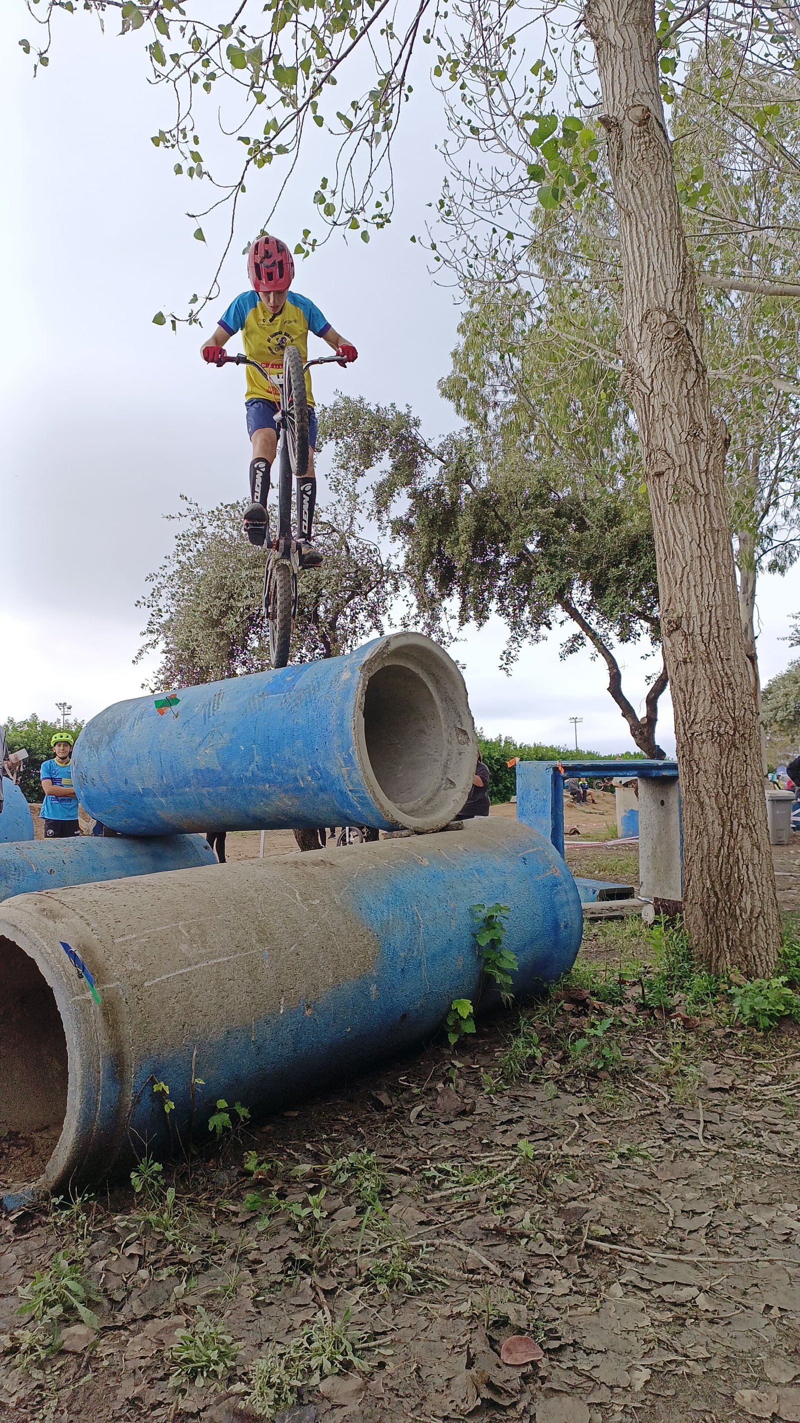 e0d9271e-c35d-4b9f-b81e-abd6f94a1381