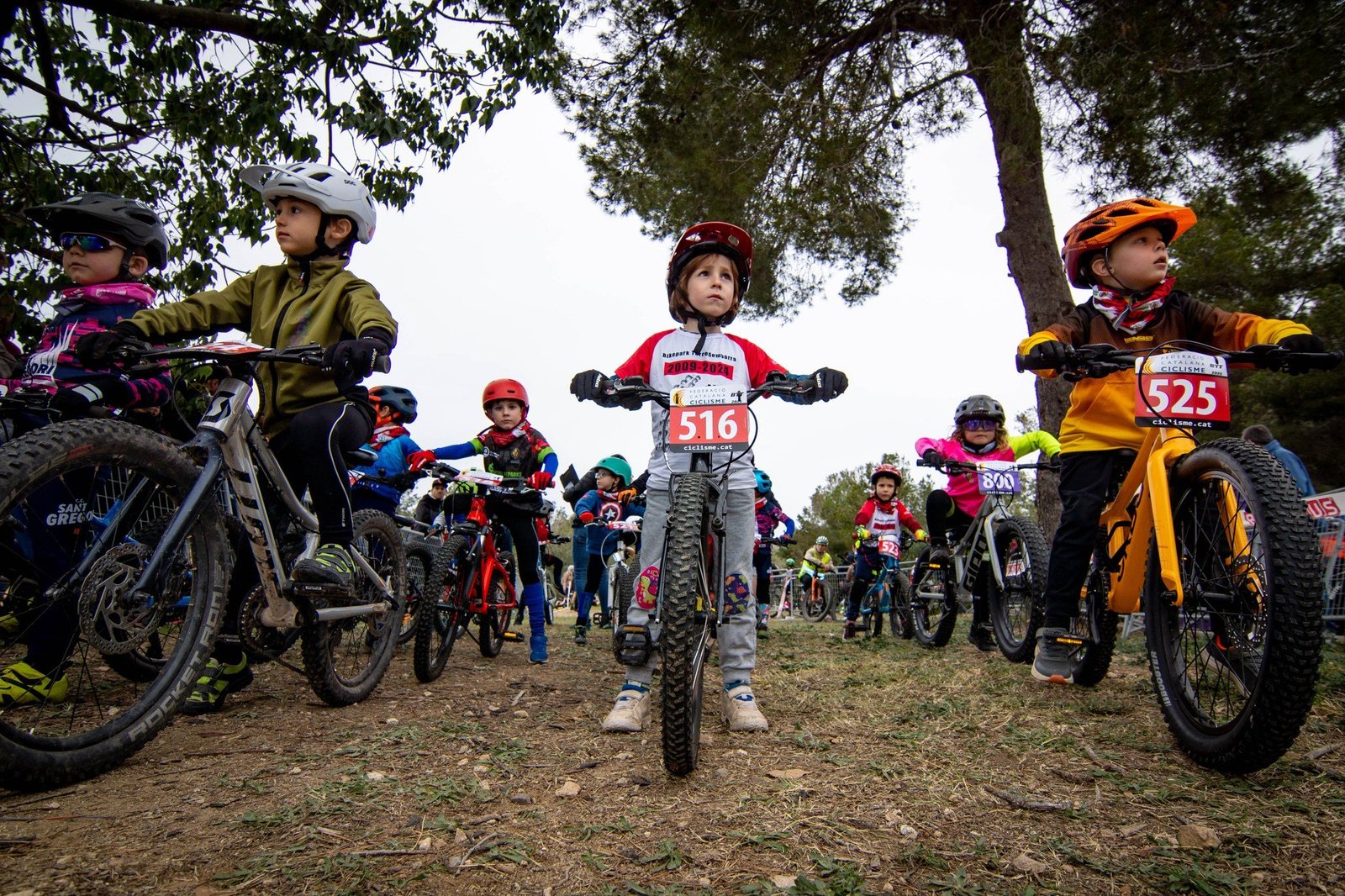 480566475_1151998463387847_8237327249282610622_n