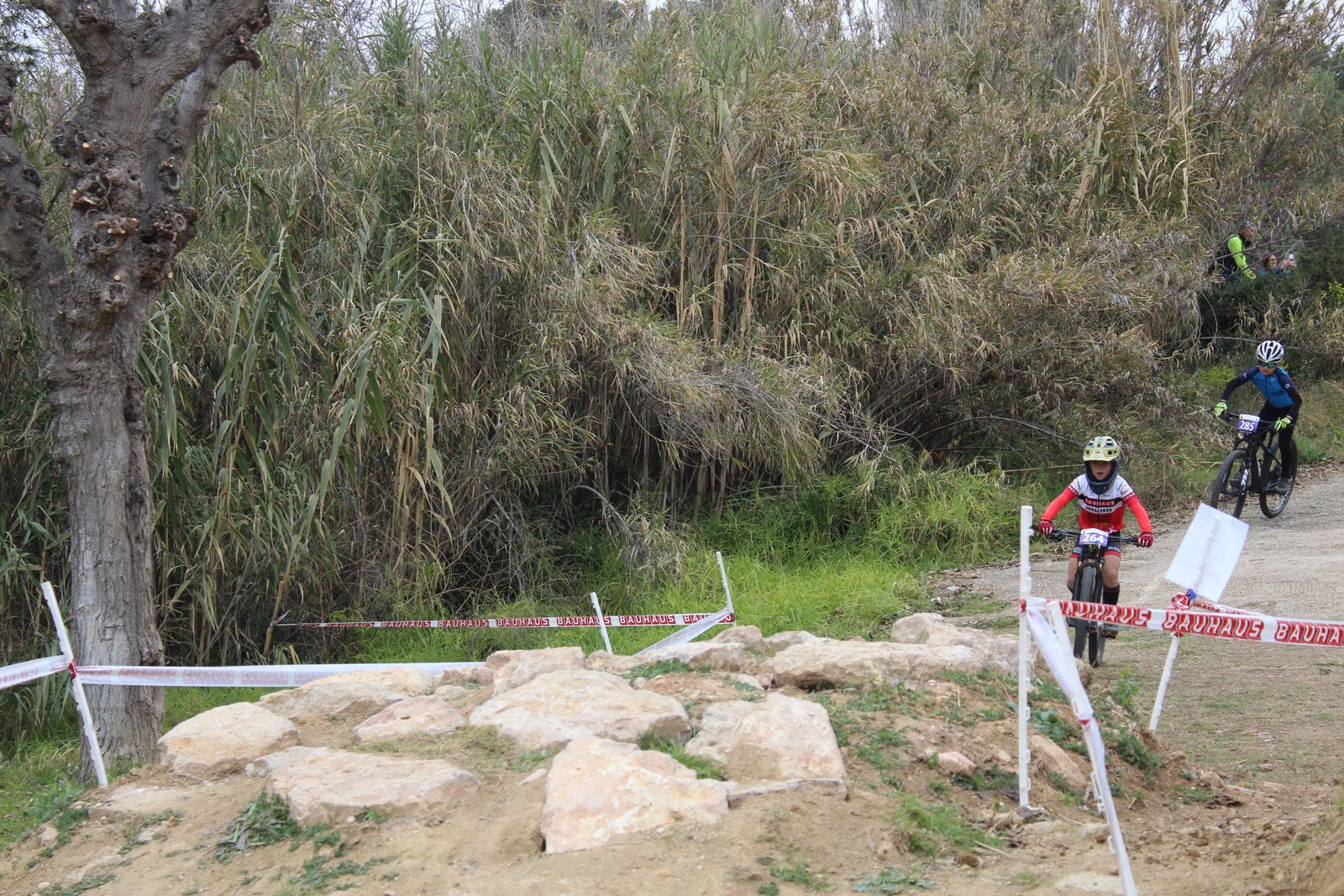 Lydia Jiménez (115)