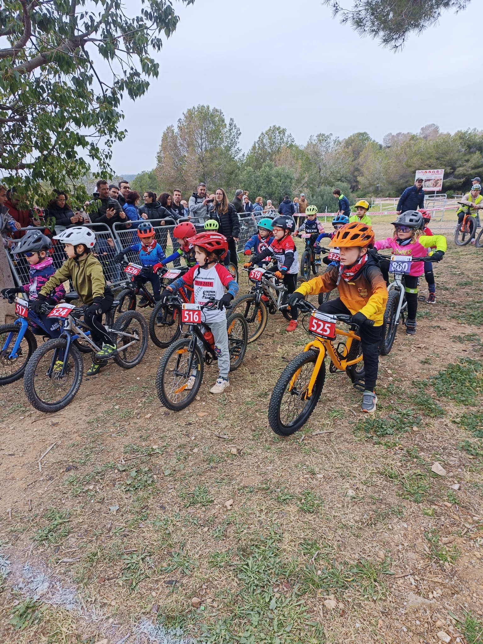 WhatsApp Image 2025-02-16 at 21.34.24